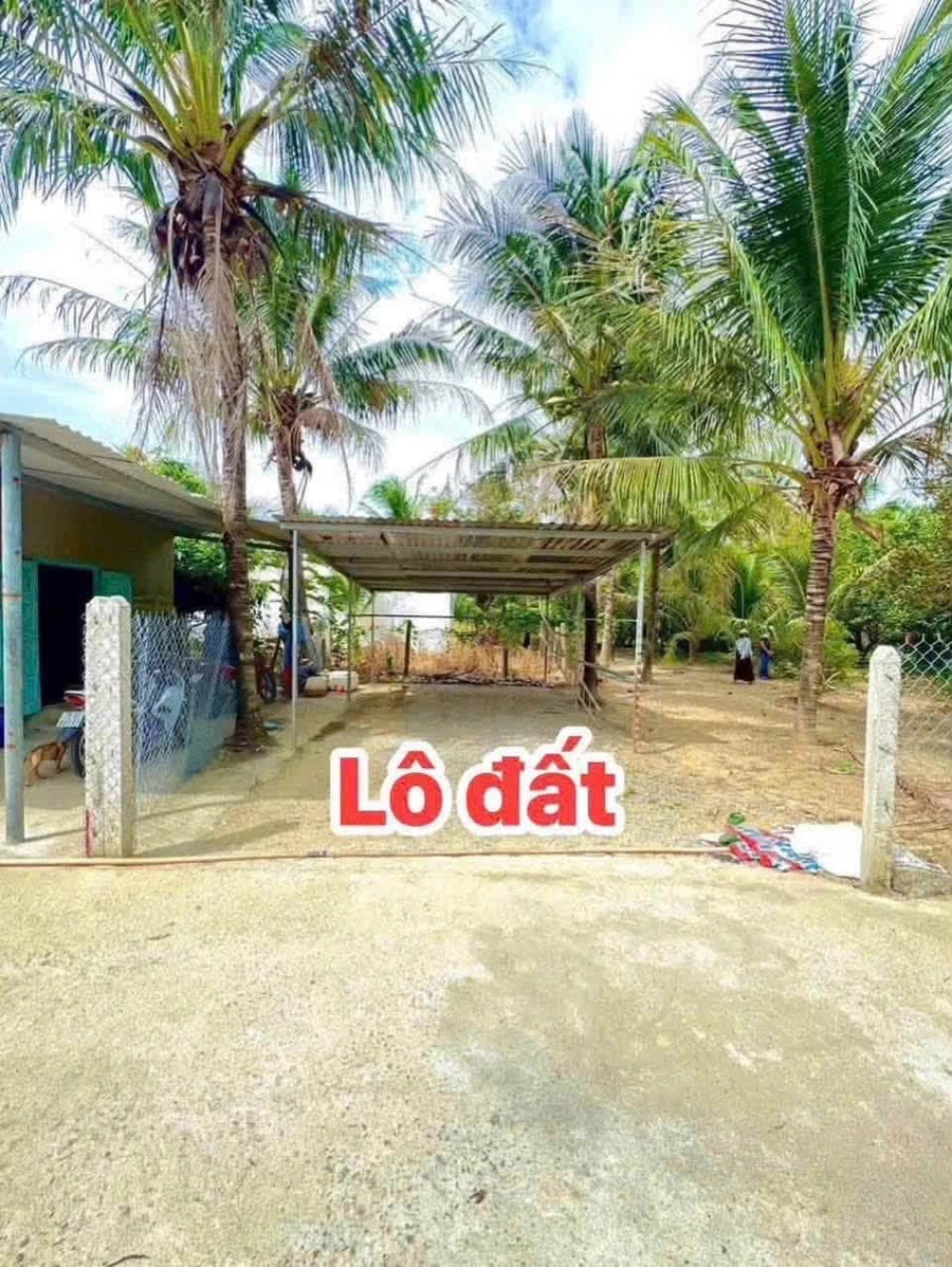 Bán lô đất 60m2 Diên Phước, Bình Dương - Ảnh 1