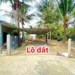 Bán lô đất 60m2 Diên Phước, Bình Dương - Ảnh thu nhỏ 1
