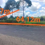 Ngân hàng thanh lý đất ở TT Ngã Sáu - Ảnh thu nhỏ 2