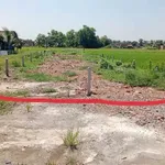 Bán đất mặt tiền Bầu Sen, Gò Vấp, 273m² toàn thổ cư - Ảnh thu nhỏ 4