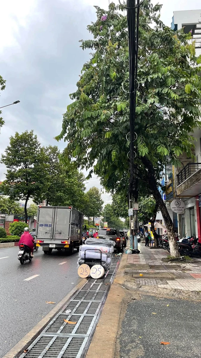 Bán shophouse 2 mặt tiền Đồng Khởi, 800m² sàn, thu nhập 1 tỷ/năm - Ảnh thu nhỏ 4