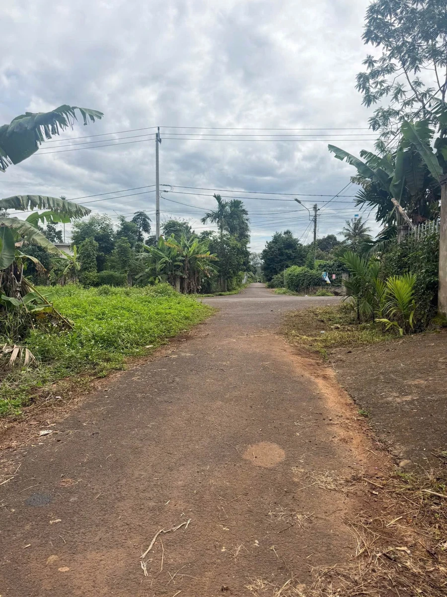 Bán lô đất 5×40m (200m²) 1 tỷ 240 triệu, Tam Giác Vàng - Ảnh 1