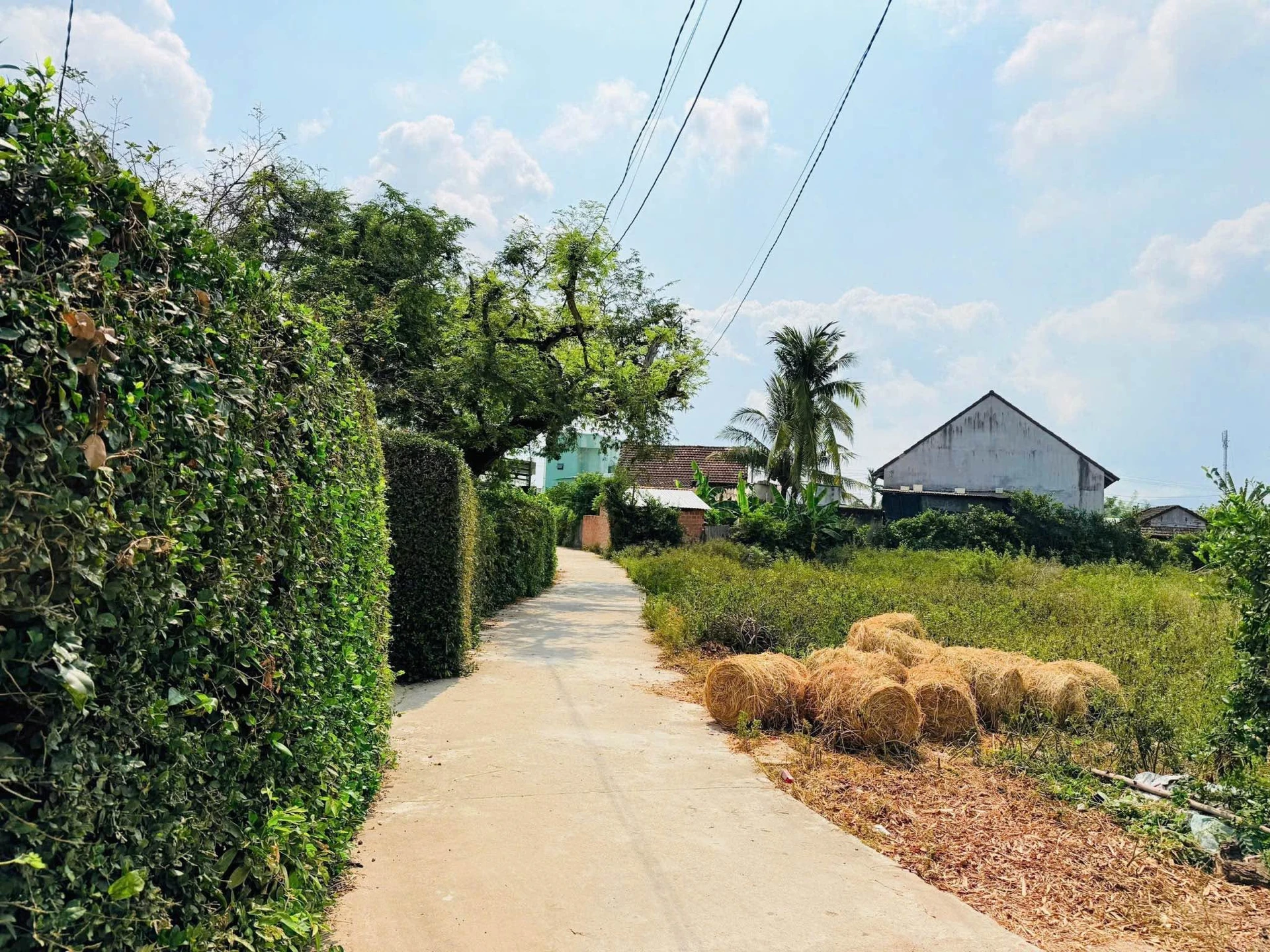 Bán lô đất An Sơn Phước An 100m2 390 triệu - Ảnh 1