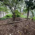 Bán đất view sông 1000m2 đường số 1, Hiệp Bình Chánh, Thủ Đức - Ảnh thu nhỏ 4