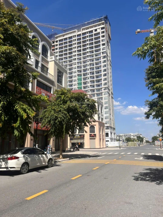 Chính chủ - Cần bán nhanh căn liền kề Cọ Xanh - Vinhomes Ocean Park 2, DT đất 80m², giá 10,6 tỷ - Ảnh thu nhỏ 3