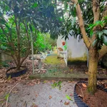 Bán mảnh vườn cây trái 300m2 Nguyễn Văn Lang, Tân Thành - Ảnh thu nhỏ 5
