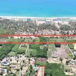 Bán đất biển Quảng Ngãi 150m2 giá 4 tỷ 4 - Ảnh thu nhỏ 3