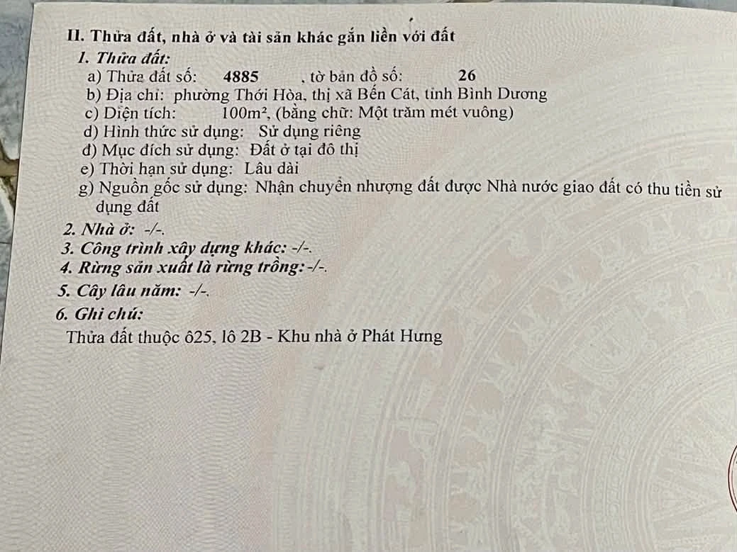 Bán đất nền 100m² Phát Hưng, Thới Hòa, Bình Dương - Ảnh thu nhỏ 2