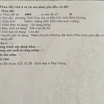 Bán đất nền 100m² Phát Hưng, Thới Hòa, Bình Dương - Ảnh thu nhỏ 2