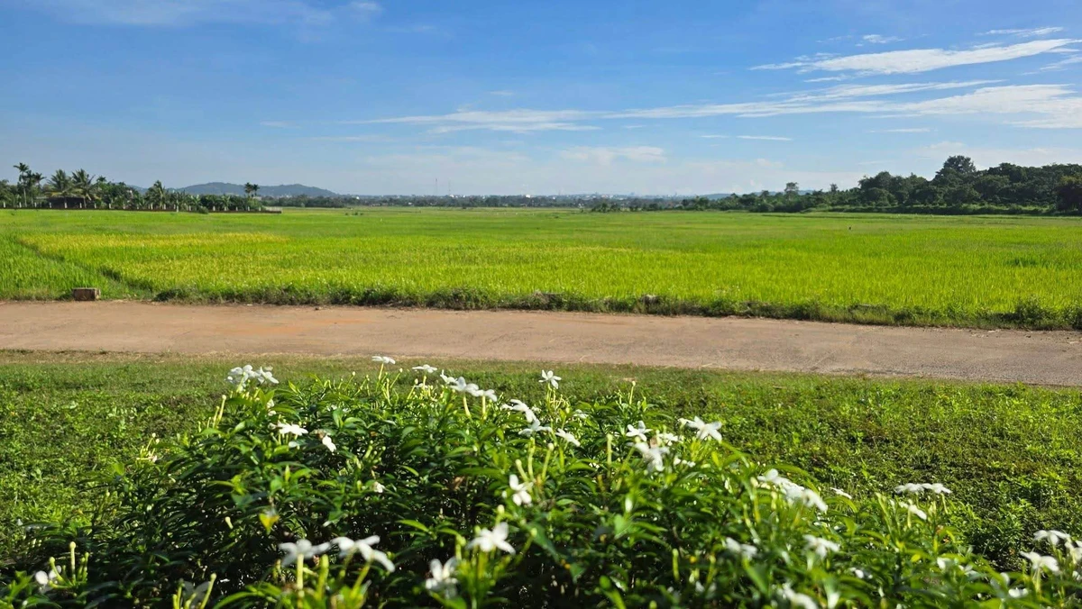 Bán đất 233m2 có quán cafe view ruộng Buôn Ma Thuột 1 tỷ 790 - Ảnh thu nhỏ 2