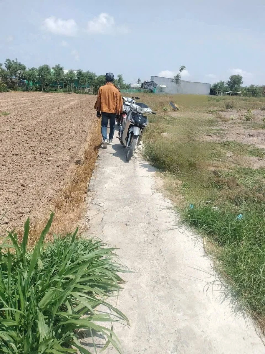 Bán đất 165m² Gò Công Đông Tiền Giang giá 140 triệu - Ảnh thu nhỏ 2