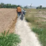 Bán đất 165m² Gò Công Đông Tiền Giang giá 140 triệu - Ảnh thu nhỏ 2