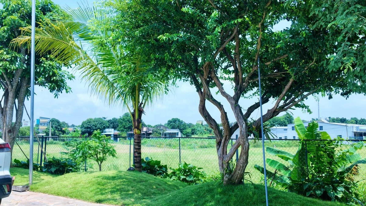 Bán nhà vườn Bảo Vinh 436m² (120m² thổ cư), 2,35 tỷ - Ảnh thu nhỏ 3