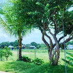Bán nhà vườn Bảo Vinh 436m² (120m² thổ cư), 2,35 tỷ - Ảnh thu nhỏ 3