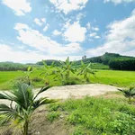 Bán đất vườn 509m2 Diên Khánh, Khánh Hòa 699 triệu - Ảnh thu nhỏ 2