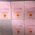 Đất thổ, đã tách 5 sổ, TP Vĩnh Long - Ảnh thu nhỏ 1