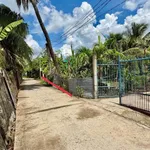 Bán đất thổ cư 5x39m (195m2) giá 750 triệu tại An Vĩnh Ngãi, Tân An, Tây Ninh - Ảnh thu nhỏ 1