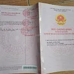 Bán nhà đất 116m² đất ở lâu dài tại Long Hoà, Cần Đước, Long An, cách TPHCM 20 phút xe máy - Ảnh thu nhỏ 22