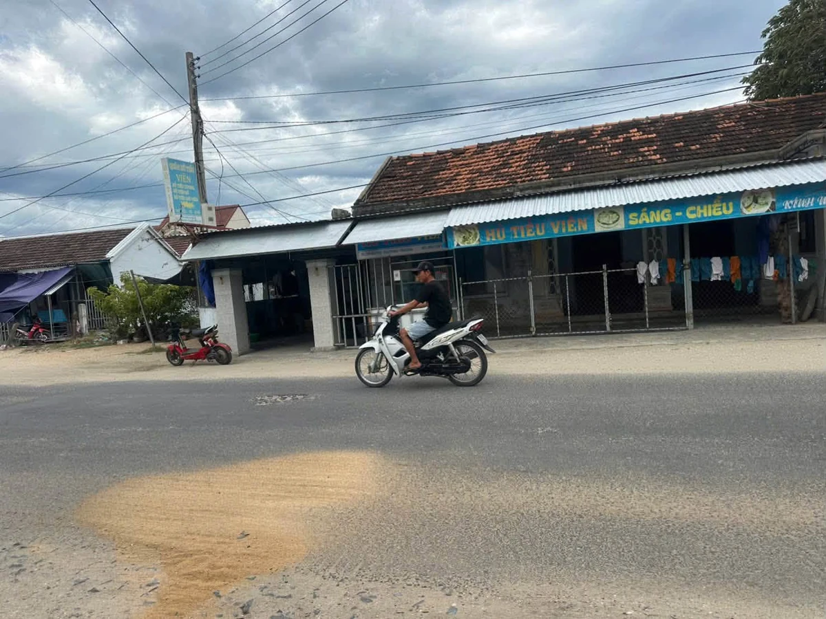 Bán nhà cấp 4 Ninh Diêm 270 m2, giá 3 tỷ 2 - Ảnh thu nhỏ 3