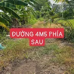 Bán đất vườn 500m² Tân Thành Thủ Thừa - Ảnh thu nhỏ 5