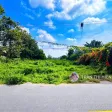 Đất 2 mặt tiền trước sau Phước Hải - siêu đẹp - 2005m2 - 21x94m cần bán gấp - Ảnh thu nhỏ 8