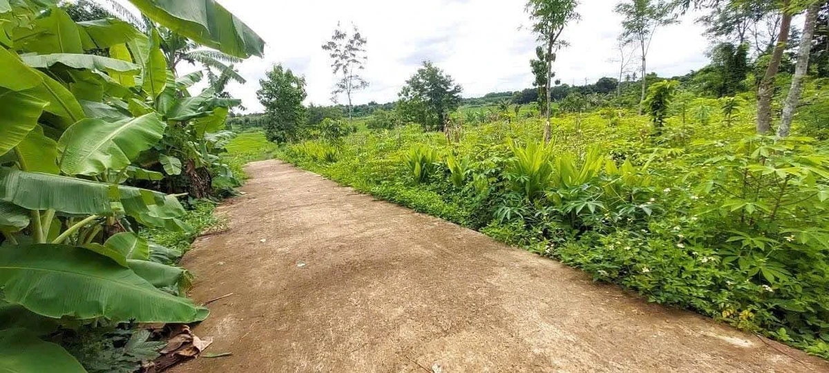 Bán đất 5x25m Hòa Xuân, hẻm cấp 1 Phan Huy Chú, giá 525 triệu/lô, mua sỉ 4 lô giá tốt - Ảnh thu nhỏ 2