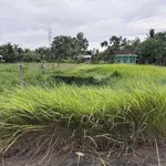 Bán gấp đất thổ cư 5x20m lộ Xuân Hoà, phường Khánh Hậu, Tây Ninh - Ảnh thu nhỏ 1