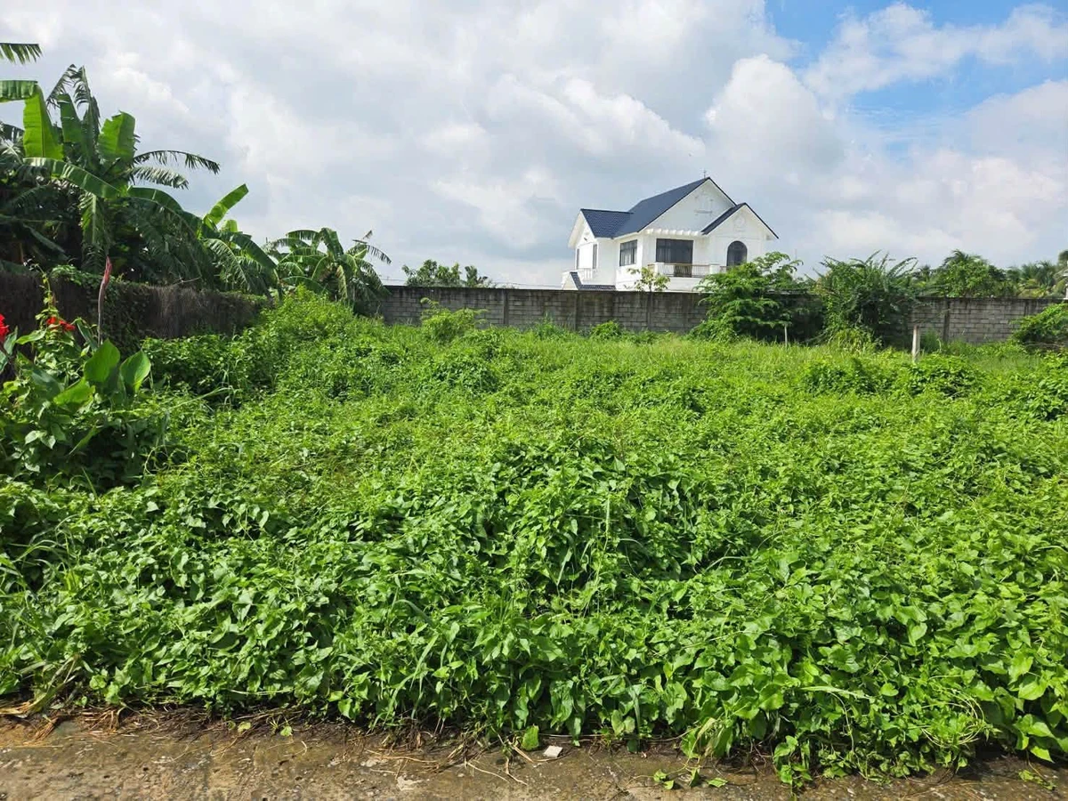 Bán nền mặt tiền Nguyễn Văn Trung, Bến Tre, 238m2, 1 tỷ 800 triệu - Ảnh thu nhỏ 5