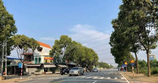 Chính chủ cần bán gấp lô đất mặt tiền đường Lê Lợi tại Trung Tâm TP Mới Bình Dương giá tốt - Ảnh thu nhỏ 4