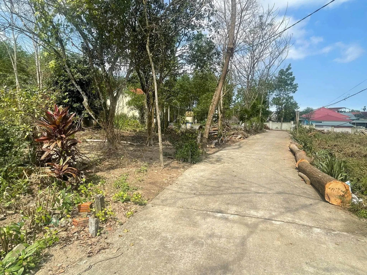 Bán đất 163,5m2 Phường Phong Điền, TP Huế, giá 490 triệu - Ảnh thu nhỏ 2