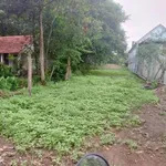 Bán lô đất dài 145m thổ cư 100m2 giá 1,95 tỷ tại An Điền, Phường Long Nguyên - Ảnh thu nhỏ 3