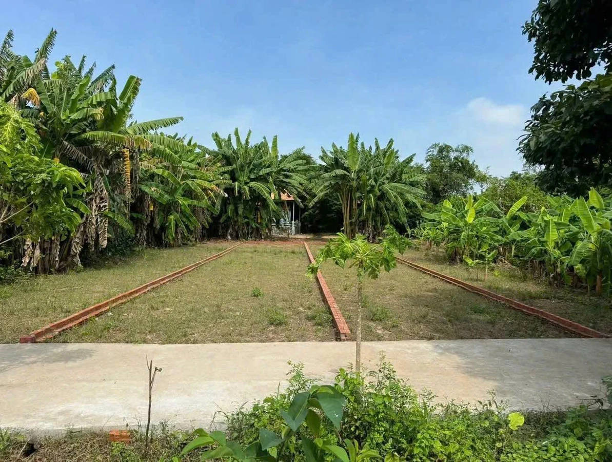 Bán 2 nền đất thổ cư mặt tiền Huỳnh Thị Lương, Tây Ninh 112,5m² - Ảnh thu nhỏ 3