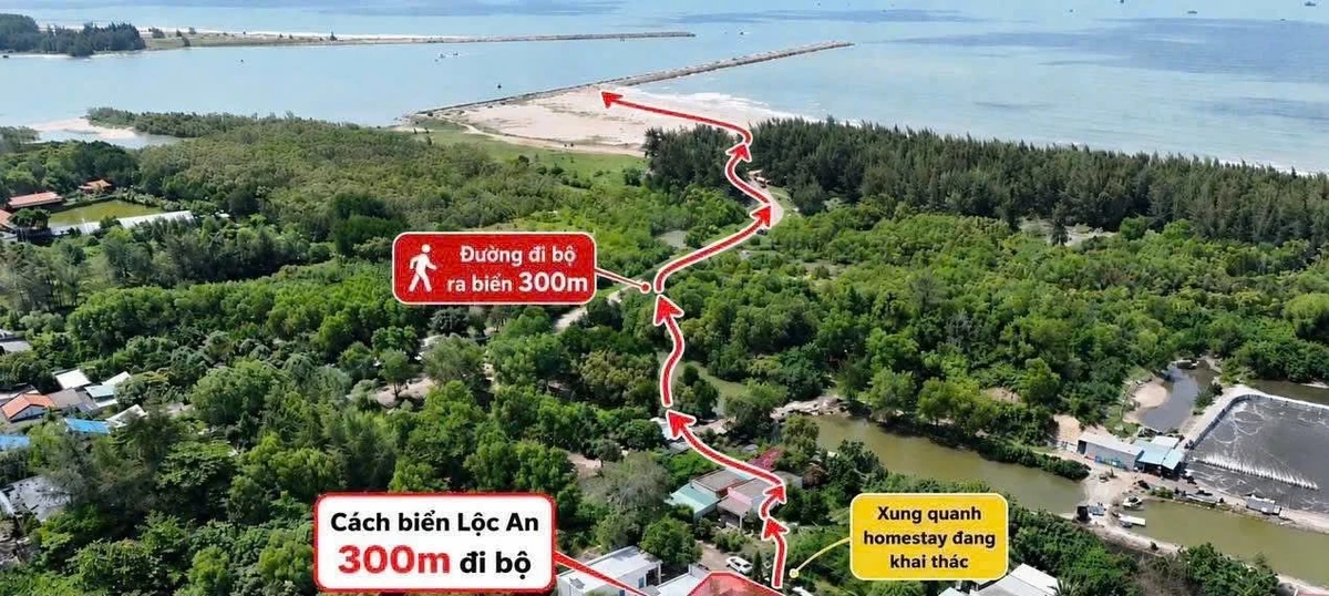 Đất biển Lộc An 300m², cách biển 200m, 4 tỷ 9 - Ảnh thu nhỏ 2