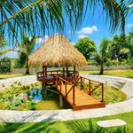 Bán nhà vườn 1.600m² Hàm Chính, Bình Thuận, gần Phan Thiết - Ảnh thu nhỏ 2