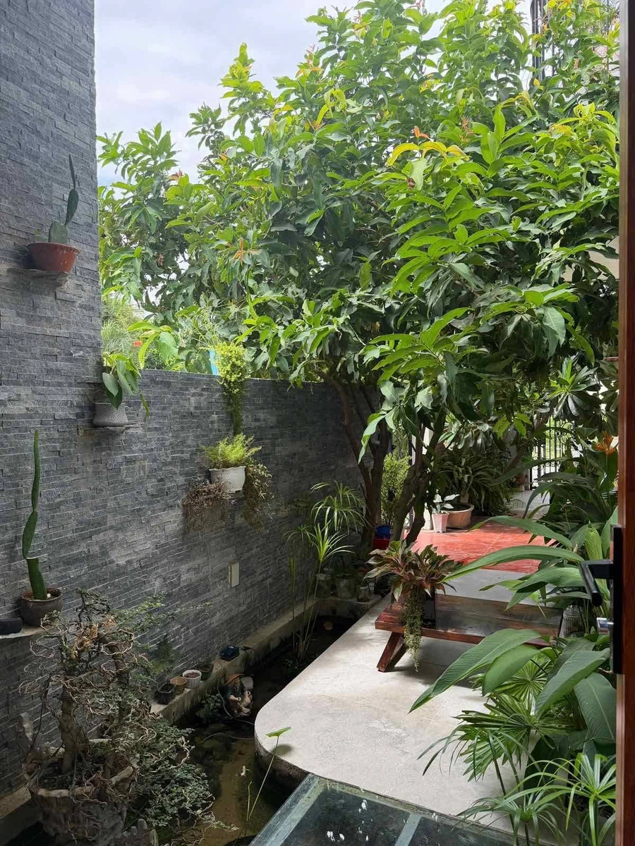 Bán nhà mặt tiền Liên Hoa Nha Trang 134m² 6.3 tỷ - Ảnh thu nhỏ 3