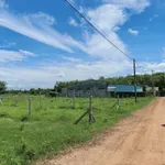 Bán đất thổ cư 150m² Tây Ninh 239 triệu - Ảnh thu nhỏ 5