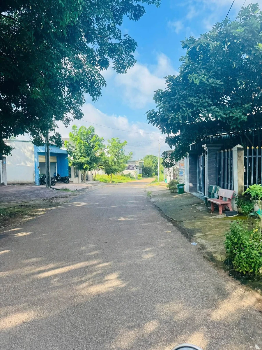 Bán đất Tân Xuân Bình Chánh 180m2 giá 900 triệu - Ảnh thu nhỏ 4