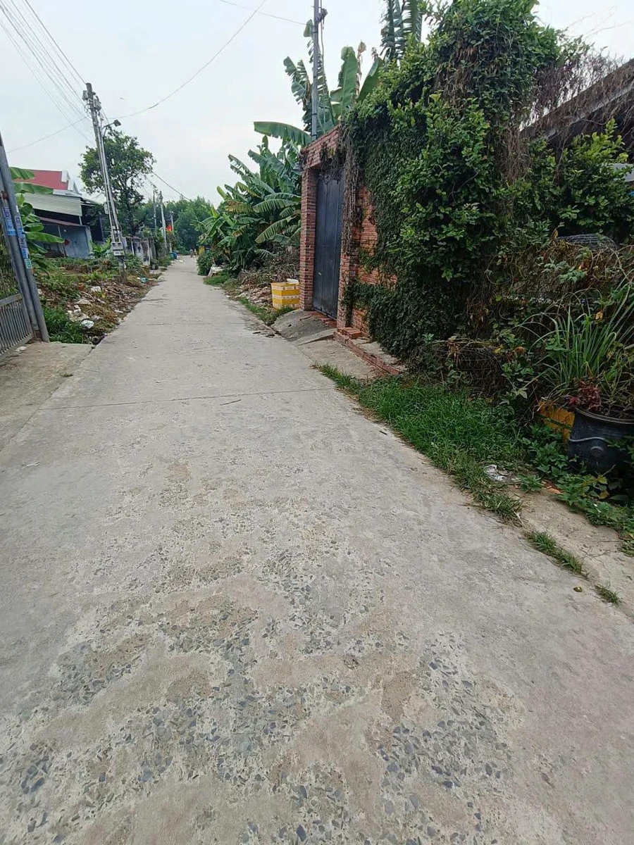 Bán lô đất sổ riêng 125m² tại Thạnh Phú, Đồng Nai, giá 1,6 tỷ - Ảnh thu nhỏ 3