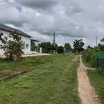 Bán 125m2 đất thổ cư Thôn Bình Lâm, Hàm Chính, 280 triệu - Ảnh thu nhỏ 2