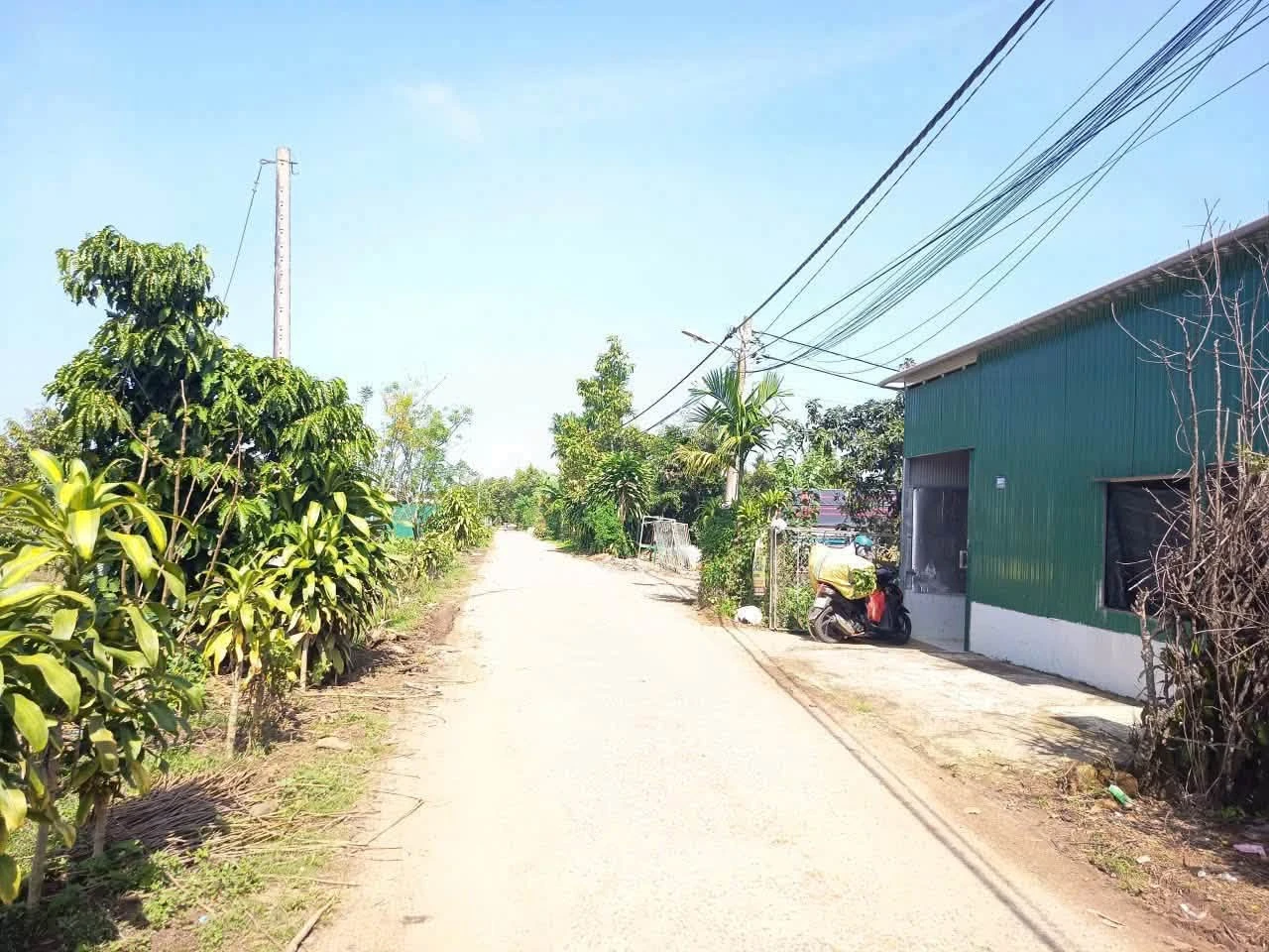 Bán đất 5000m² có nhà kho tại Bảo Lộc, giá 6 tỷ 5 - Ảnh 1