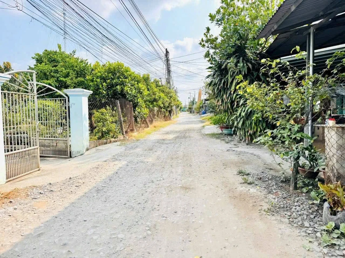 Bán lô đất thổ cư 116m² Đức Hòa, 1 tỷ 190 triệu - Ảnh thu nhỏ 3