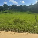 Bán đất 195m2 mặt tiền đường bê tông gần 7m tại Tân Sơn, Phú Thọ, giá khoảng 100 triệu - Ảnh thu nhỏ 3