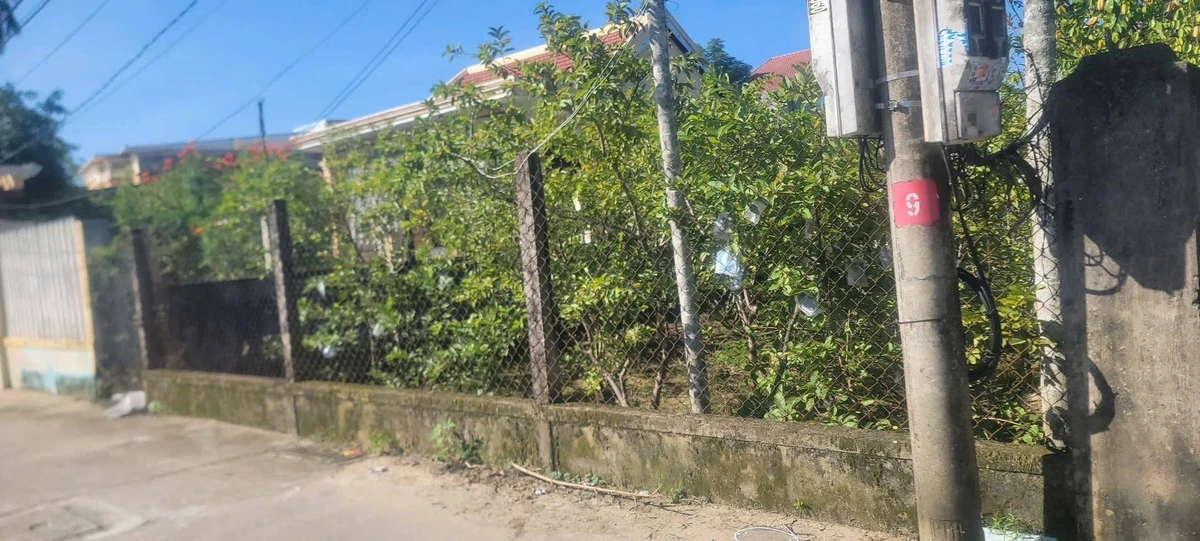 Bán đất Chiết Bi 198m2 hướng Đông Bắc 2,3 tỷ - Ảnh thu nhỏ 2
