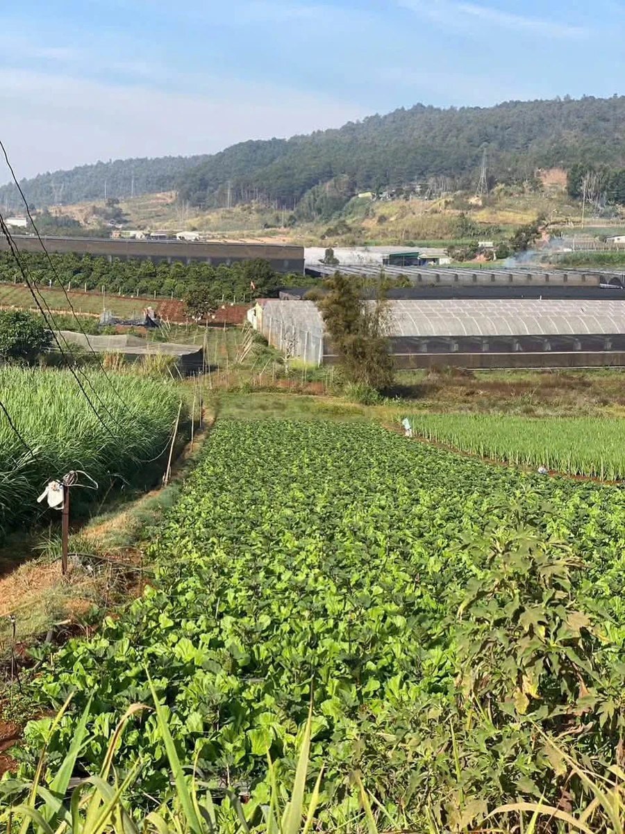 Bán đất thôn 2 Đạ Ròn 1480m2, 1 tỷ 8 - Ảnh thu nhỏ 3