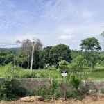 Bán gấp 2.000m2 có 200m2 thổ cư 2 mặt tiền chạy quanh đất - Ảnh thu nhỏ 14