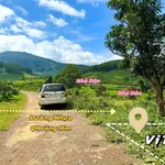Bán đất 1050m² Di Linh Lâm Đồng 890 triệu - Ảnh thu nhỏ 1