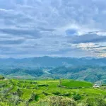 4700m2 mặt đường lớn săn mây và ruộng bậc thang trước mặt. Chính chủ - Ảnh thu nhỏ 12