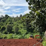 Bán 10.000m² đất Đắk Lắk Cư Mgar EaPok - Ảnh thu nhỏ 3