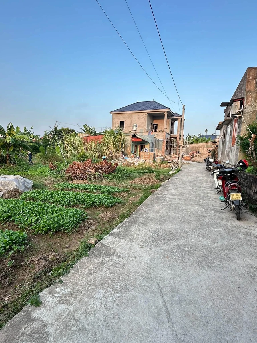 Bán lô đất 123m2 mặt tiền 5.1m ở Ninh Giang, Hải Phòng - Ảnh thu nhỏ 2