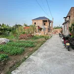 Bán lô đất 123m2 mặt tiền 5.1m ở Ninh Giang, Hải Phòng - Ảnh thu nhỏ 2